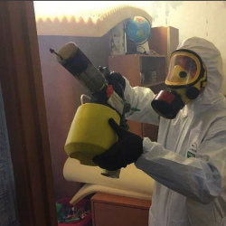 Уничтожение клопов в квартире. Новосиль